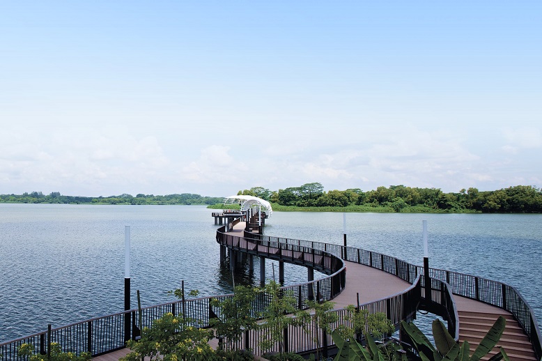 Lower Seletar Reservoir Park Heritage Bridge